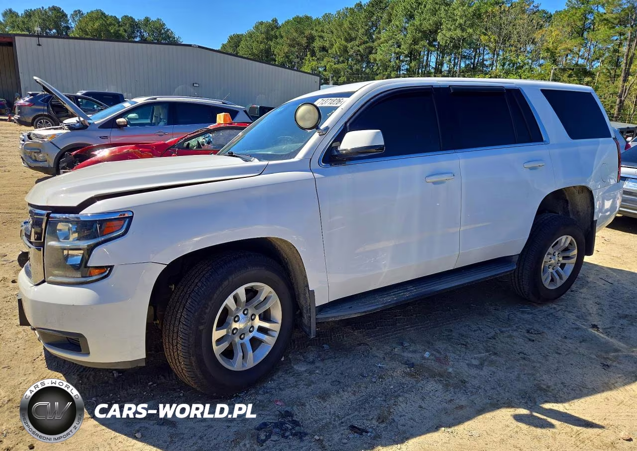 2019 Chevrolet Tahoe Special VIN:1GNSKFEC7KR150010 - 1
