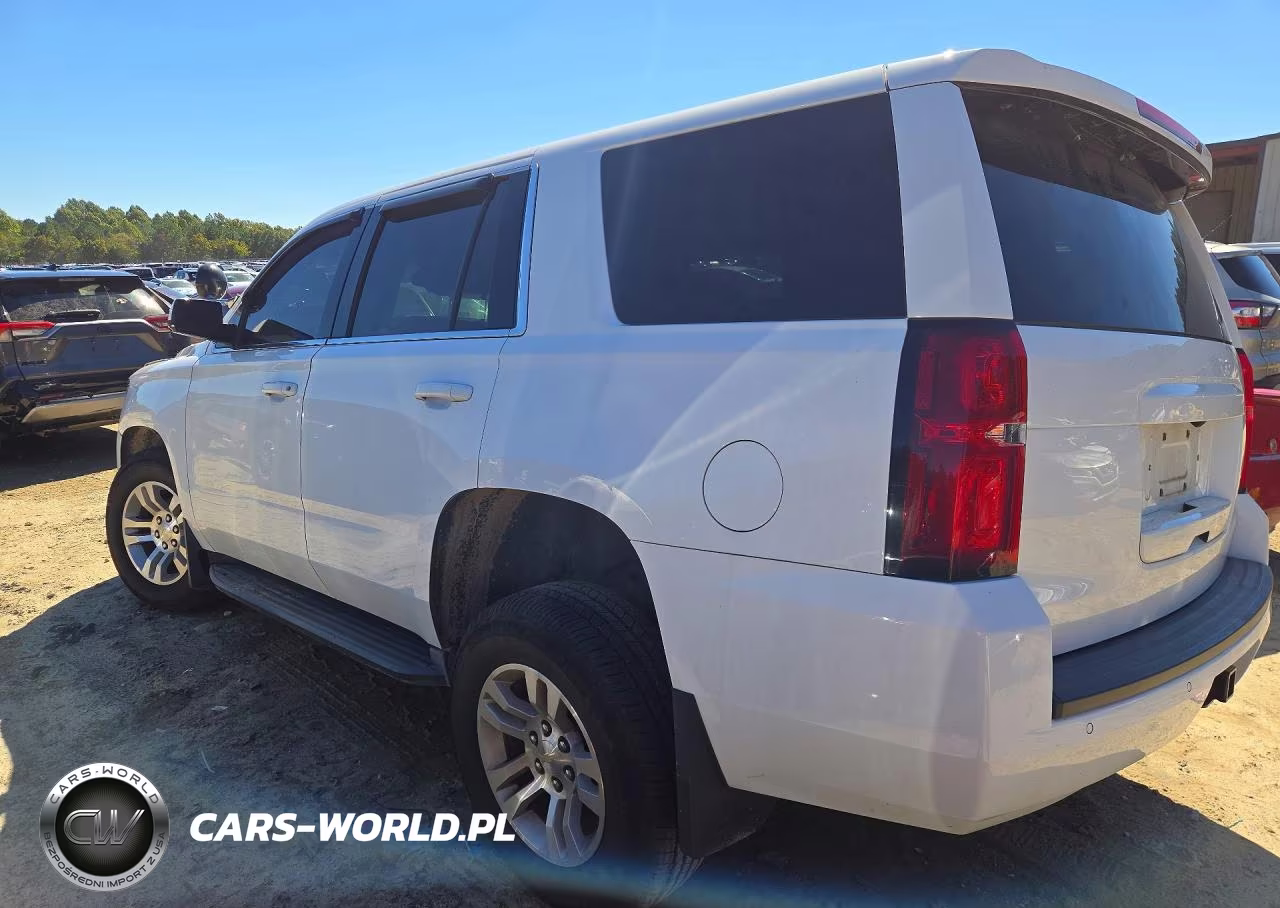 2019 Chevrolet Tahoe Special VIN:1GNSKFEC7KR150010 - 2
