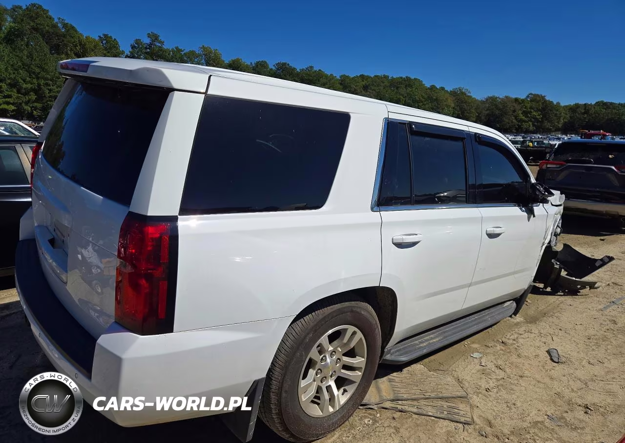 2019 Chevrolet Tahoe Special VIN:1GNSKFEC7KR150010 - 3