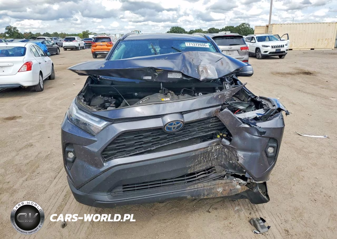2024 Toyota Rav4 Xle Premium VIN:4T3B6RFV0RU158605 - 5