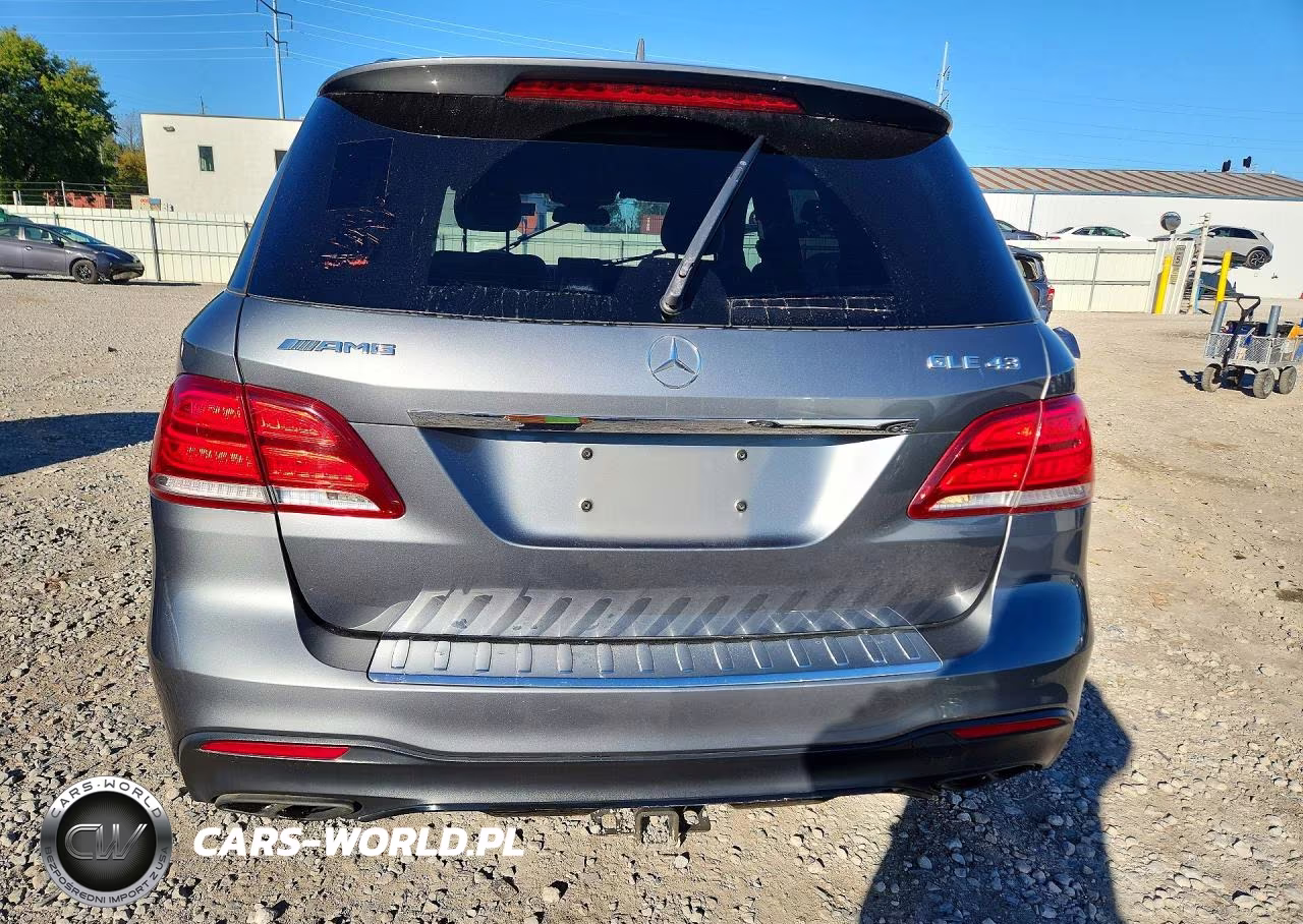 2019 Mercedes-Benz Gle 43 Amg VIN:4JGDA6EB1KB197890 - 6
