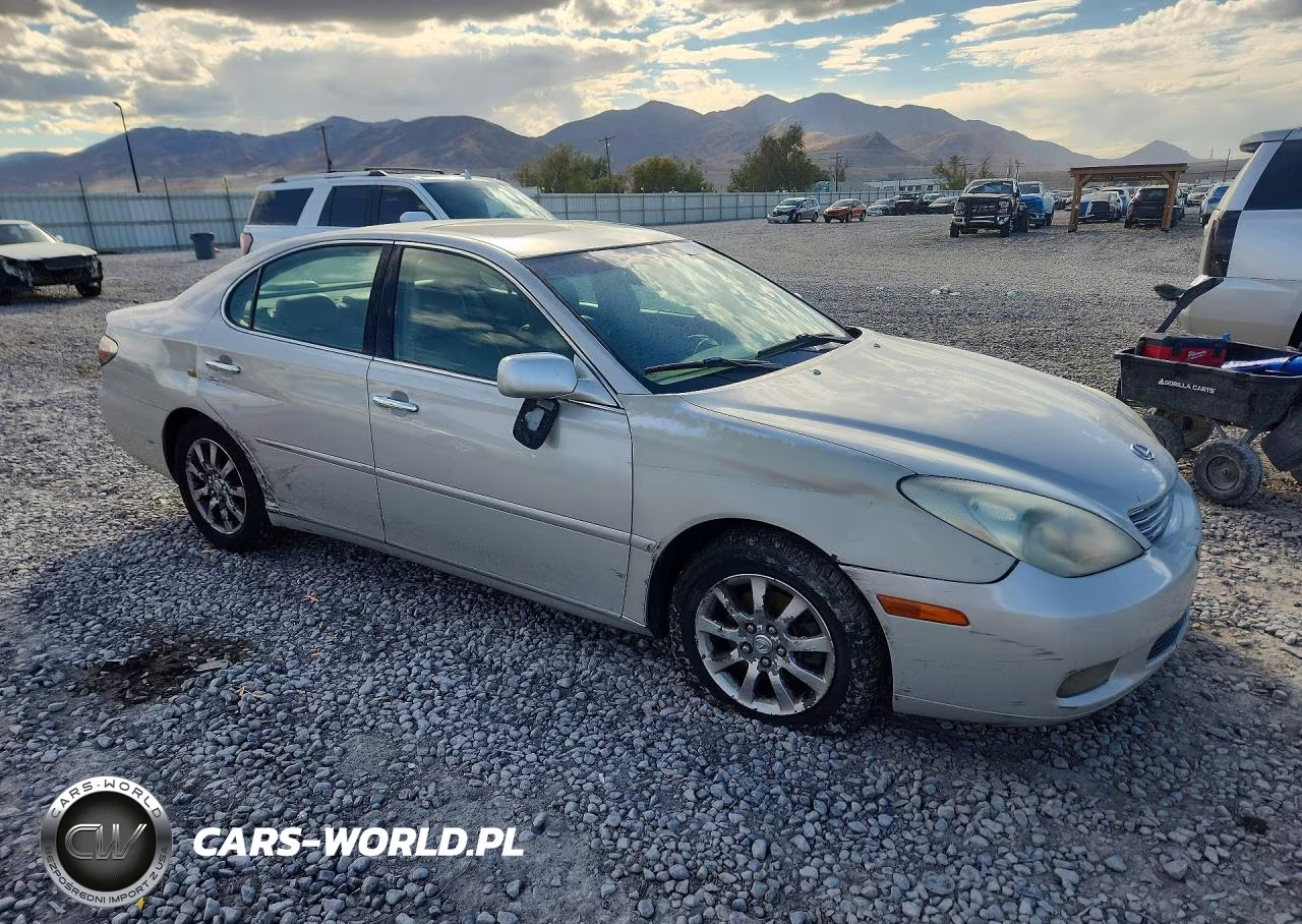 2002 Lexus Es 300 VIN:JTHBF30G420076635 - 4