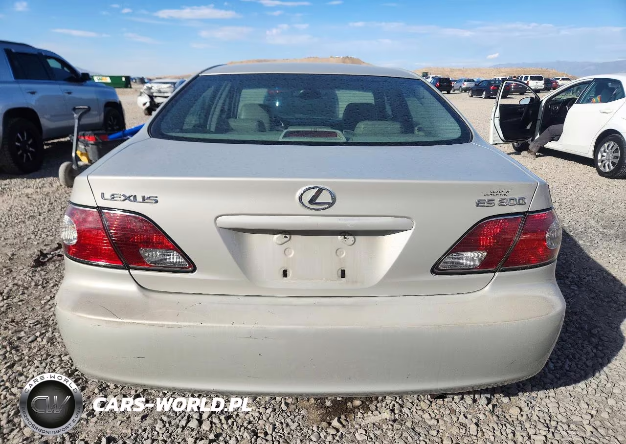 2002 Lexus Es 300 VIN:JTHBF30G420076635 - 6