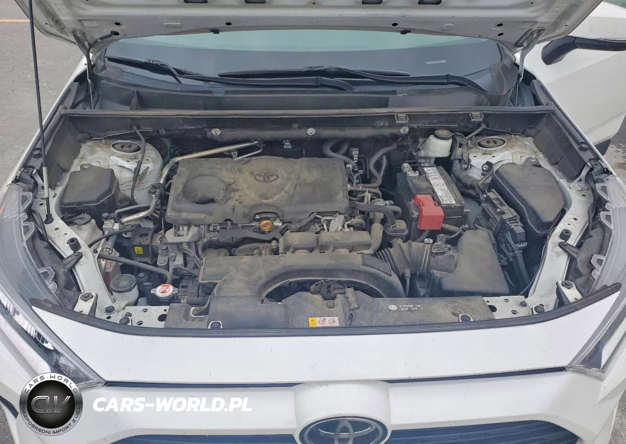 2019 Toyota Rav4 Xle VIN:2T3P1RFV3KW057553 - 12
