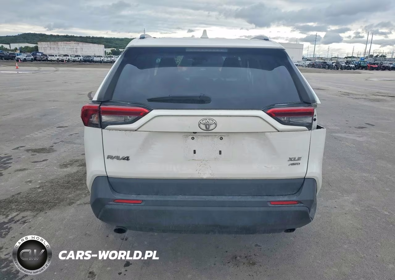 2019 Toyota Rav4 Xle VIN:2T3P1RFV3KW057553 - 6