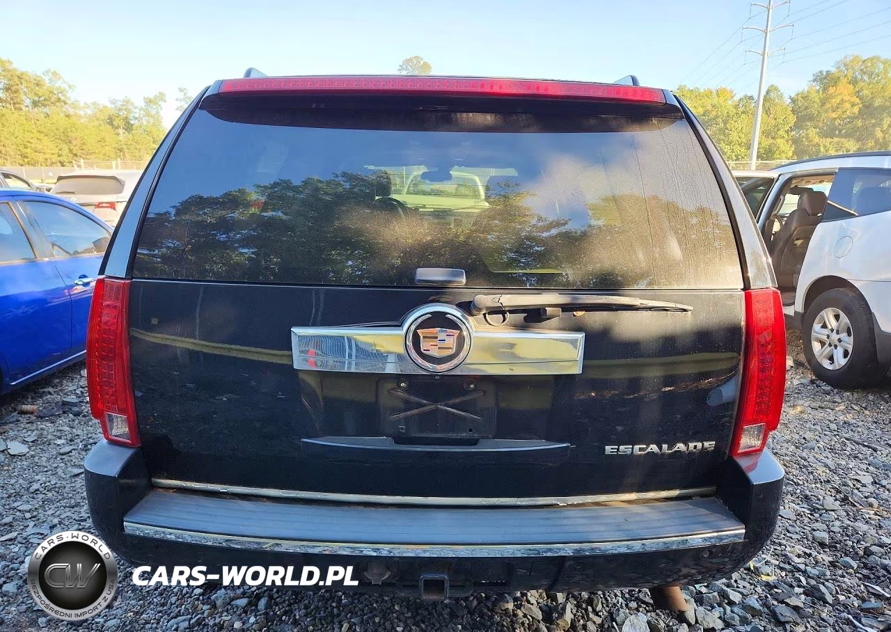 2008 Cadillac Escalade Esv VIN:1GYFK66808R159493 - 6