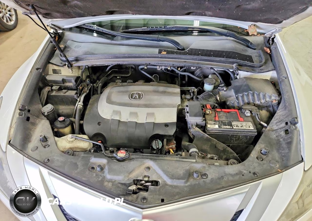 2010 Acura Zdx Technology VIN:2HNYB1H49AH502006 - 11