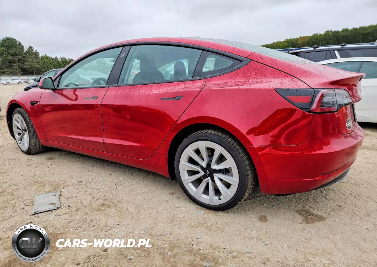 2021 Tesla Model 3 VIN:5YJ3E1EB5MF054397 - 2