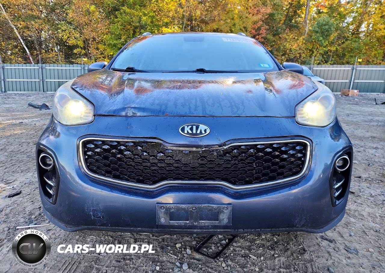 2017 Kia Sportage Lx VIN:KNDPMCAC0H7241508 - 5