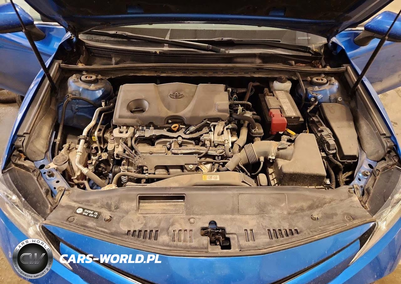 2019 Toyota Camry Le VIN:4T1B11HK9KU279537 - 11