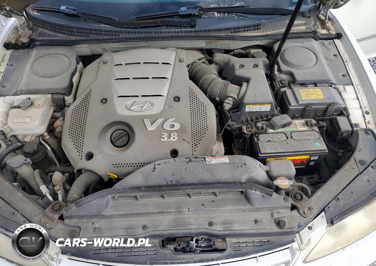 2006 Hyundai Azera Se VIN:KMHFC46F66A120484 - 11