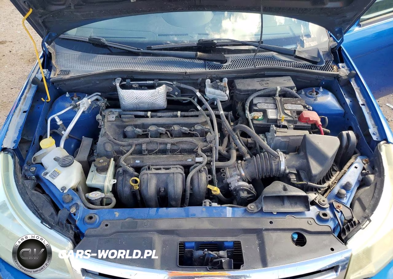 2011 Ford Focus Sel VIN:1FAHP3HN8BW116679 - 11