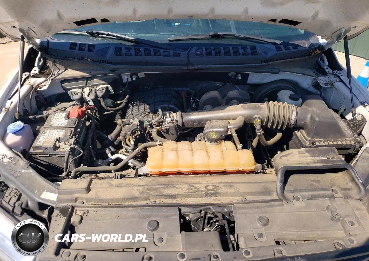 2019 Ford F150 VIN:1FTMF1CB4KKC26732 - 11