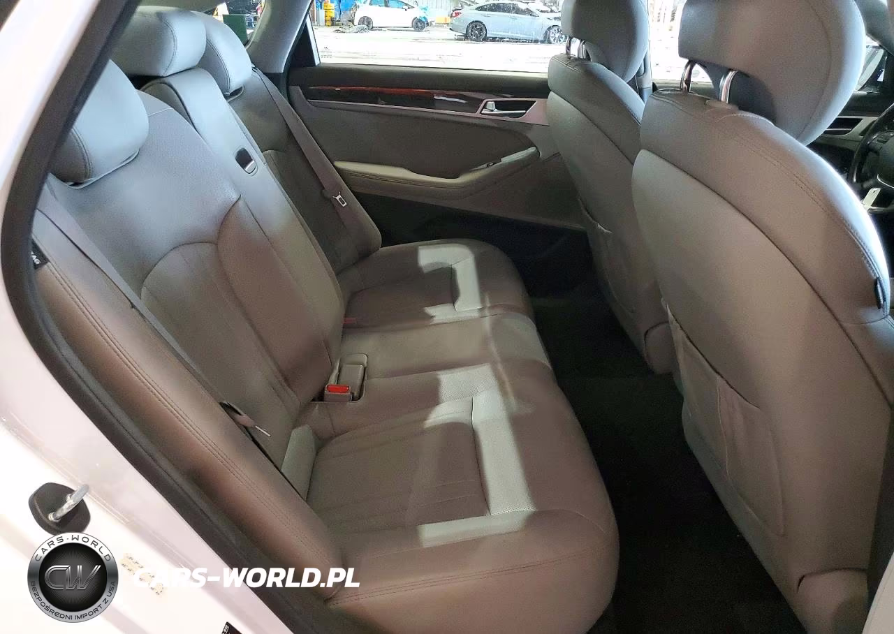 2016 Hyundai Genesis 3.8L VIN:KMHGN4JE9GU136126 - 10
