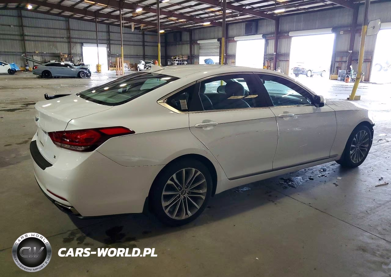 2016 Hyundai Genesis 3.8L VIN:KMHGN4JE9GU136126 - 3