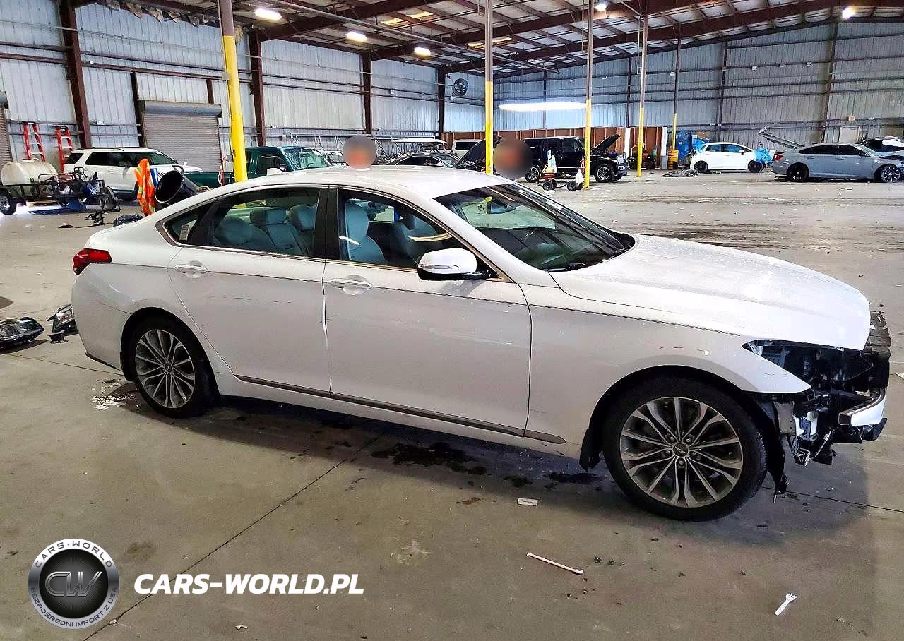 2016 Hyundai Genesis 3.8L VIN:KMHGN4JE9GU136126 - 4