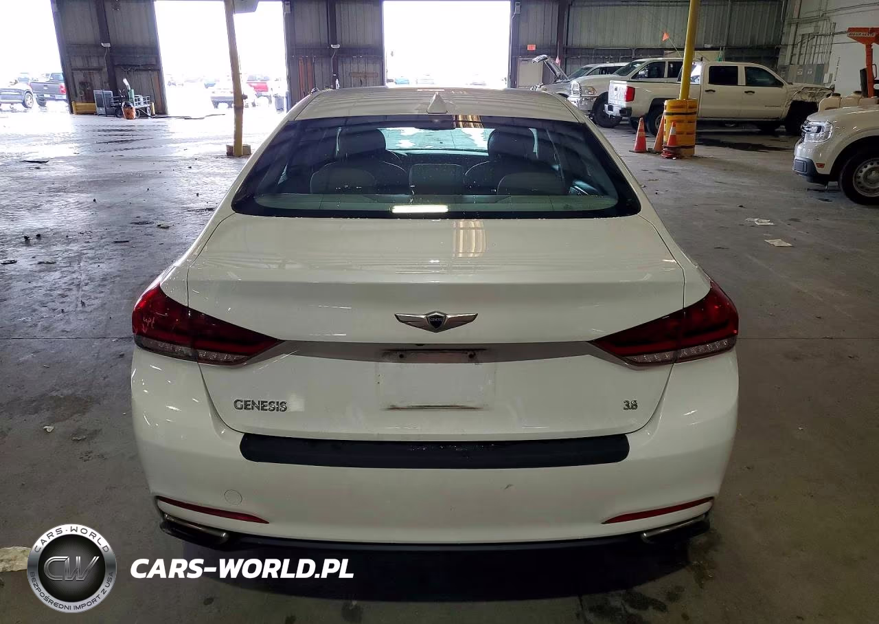 2016 Hyundai Genesis 3.8L VIN:KMHGN4JE9GU136126 - 6