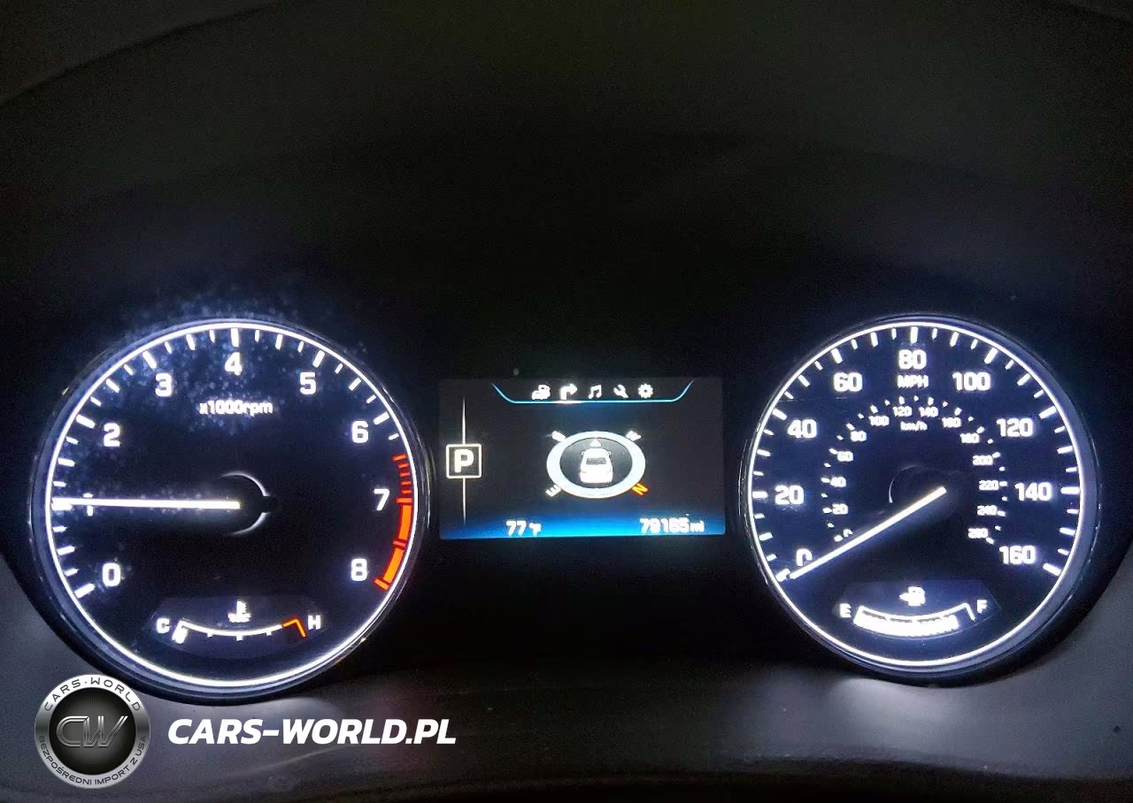 2016 Hyundai Genesis 3.8L VIN:KMHGN4JE9GU136126 - 9