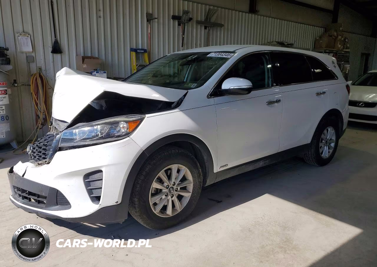 2019 Kia Sorento Lx VIN:5XYPGDA32KG569066 - 1