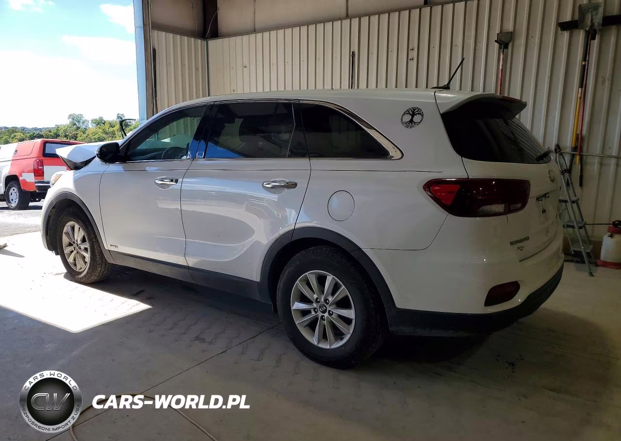 2019 Kia Sorento Lx VIN:5XYPGDA32KG569066 - 2