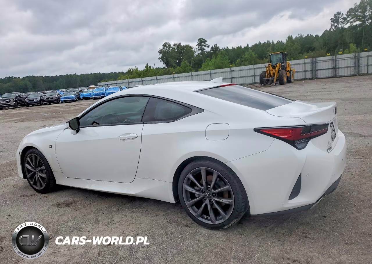 2019 Lexus Rc 350 VIN:JTHHZ5BCXK5020810 - 2