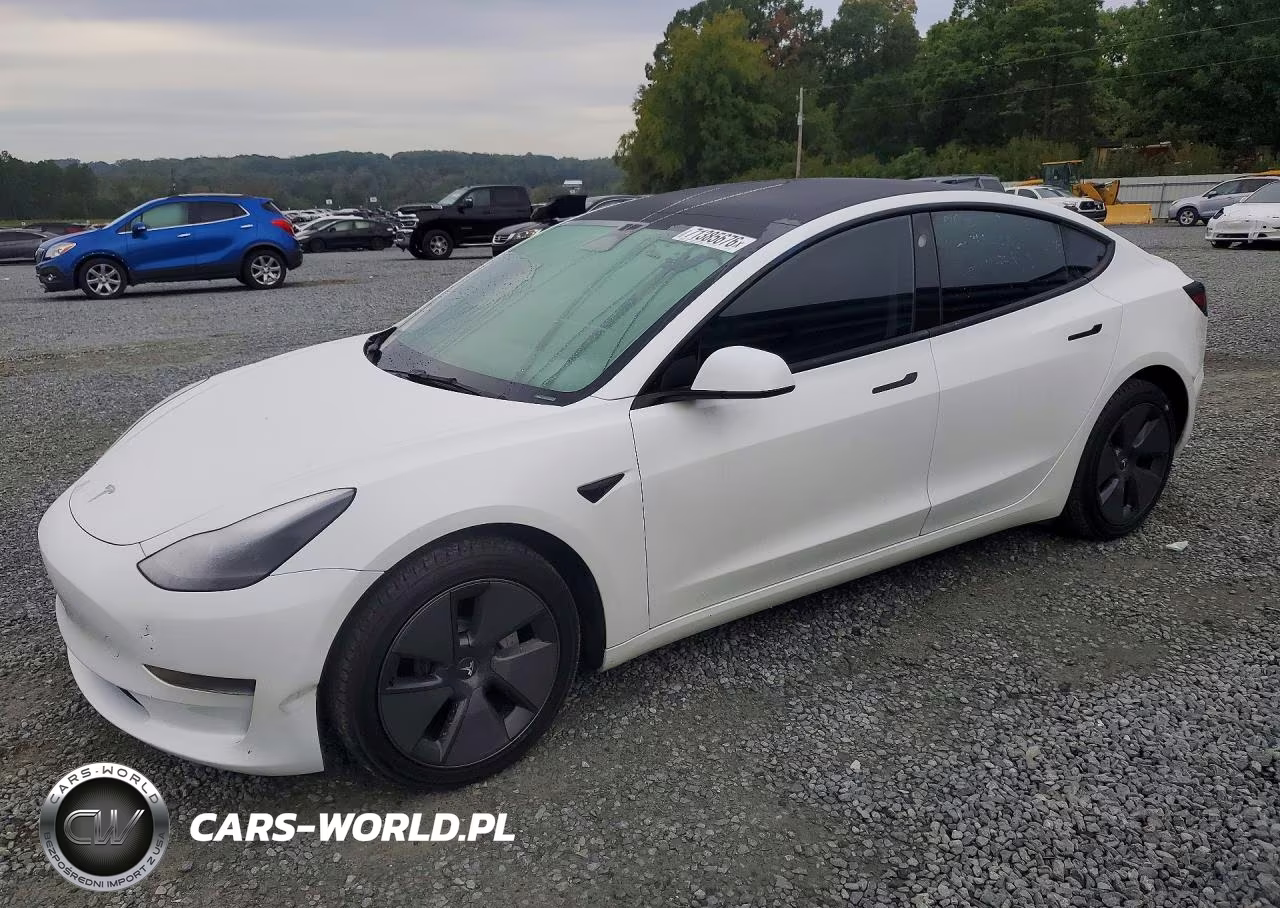 2023 Tesla Model 3 VIN:5YJ3E1EA4PF493523 - 1