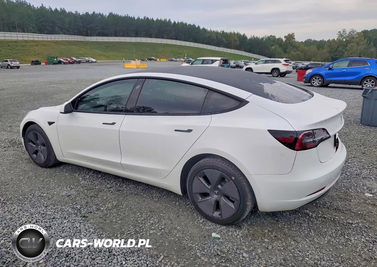 2023 Tesla Model 3 VIN:5YJ3E1EA4PF493523 - 2