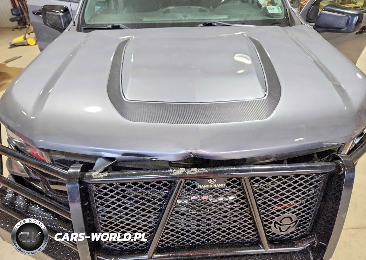 2019 Chevrolet Silverado K1500 Lt Trail Boss VIN:1GCPYFED6KZ328625 - 11