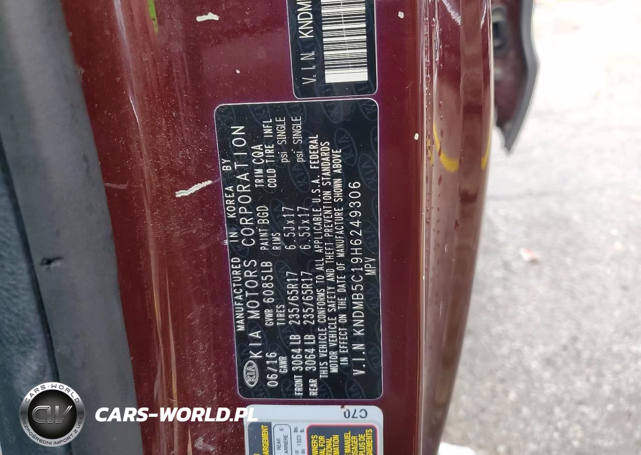 2017 Kia Sedona Lx VIN:KNDMB5C19H6249306 - 13