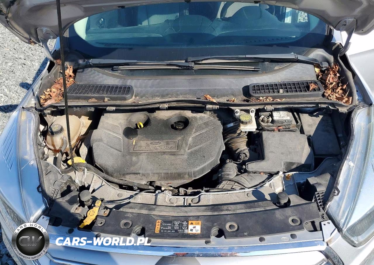 2017 Ford Escape Se VIN:1FMCU9G9XHUA29189 - 12
