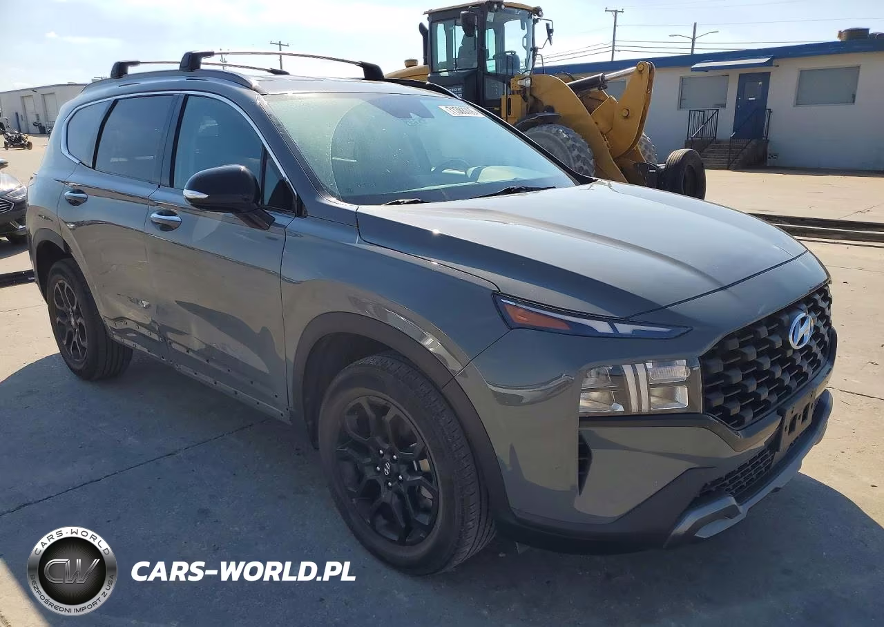 2023 Hyundai Santa Fe Xrt VIN:5NMS64AJXPH572161 - 4