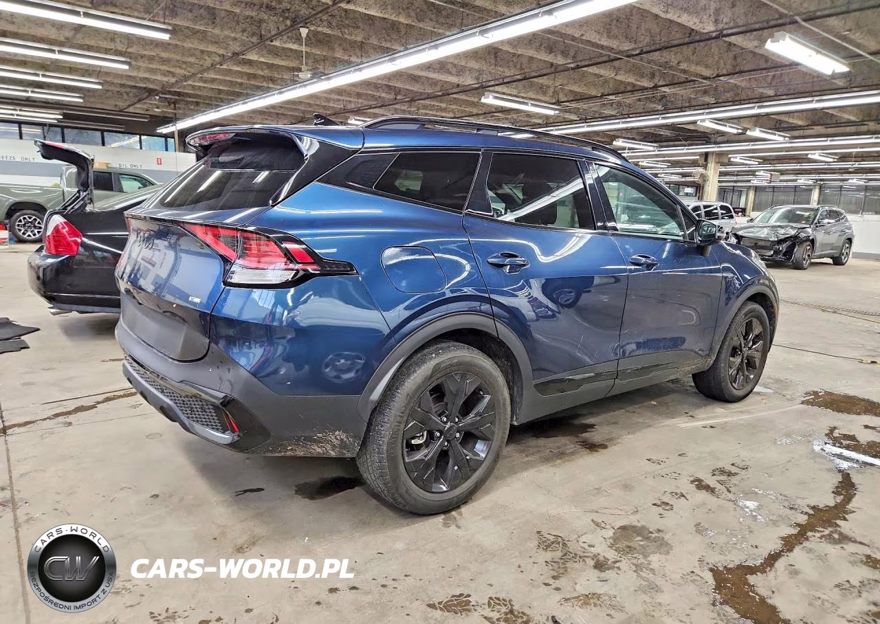 2025 Kia Sportage X Line VIN:KNDPYDDHXS7239998 - 3