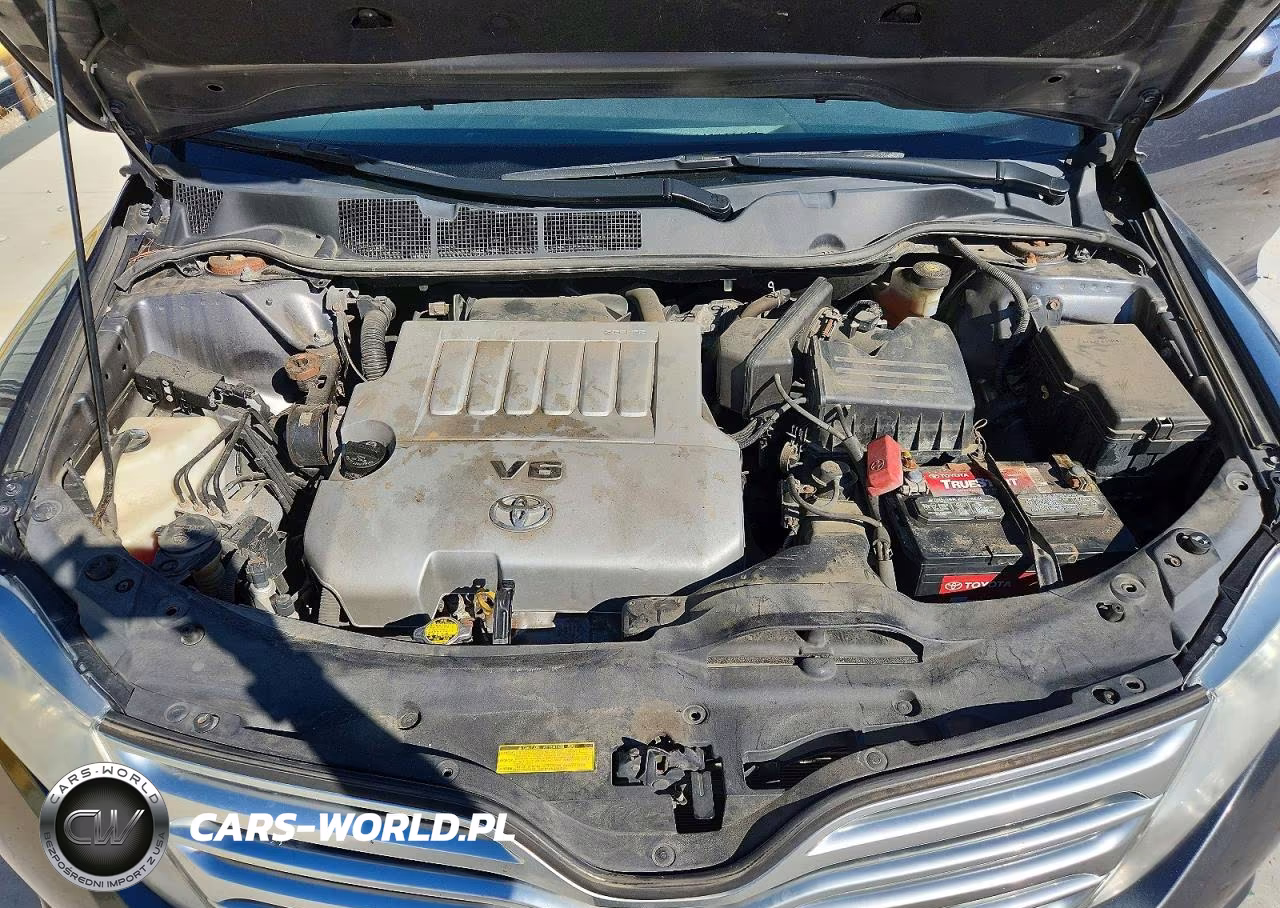 2010 Toyota Venza Awd V6 VIN:4T3BK3BB3AU027726 - 12