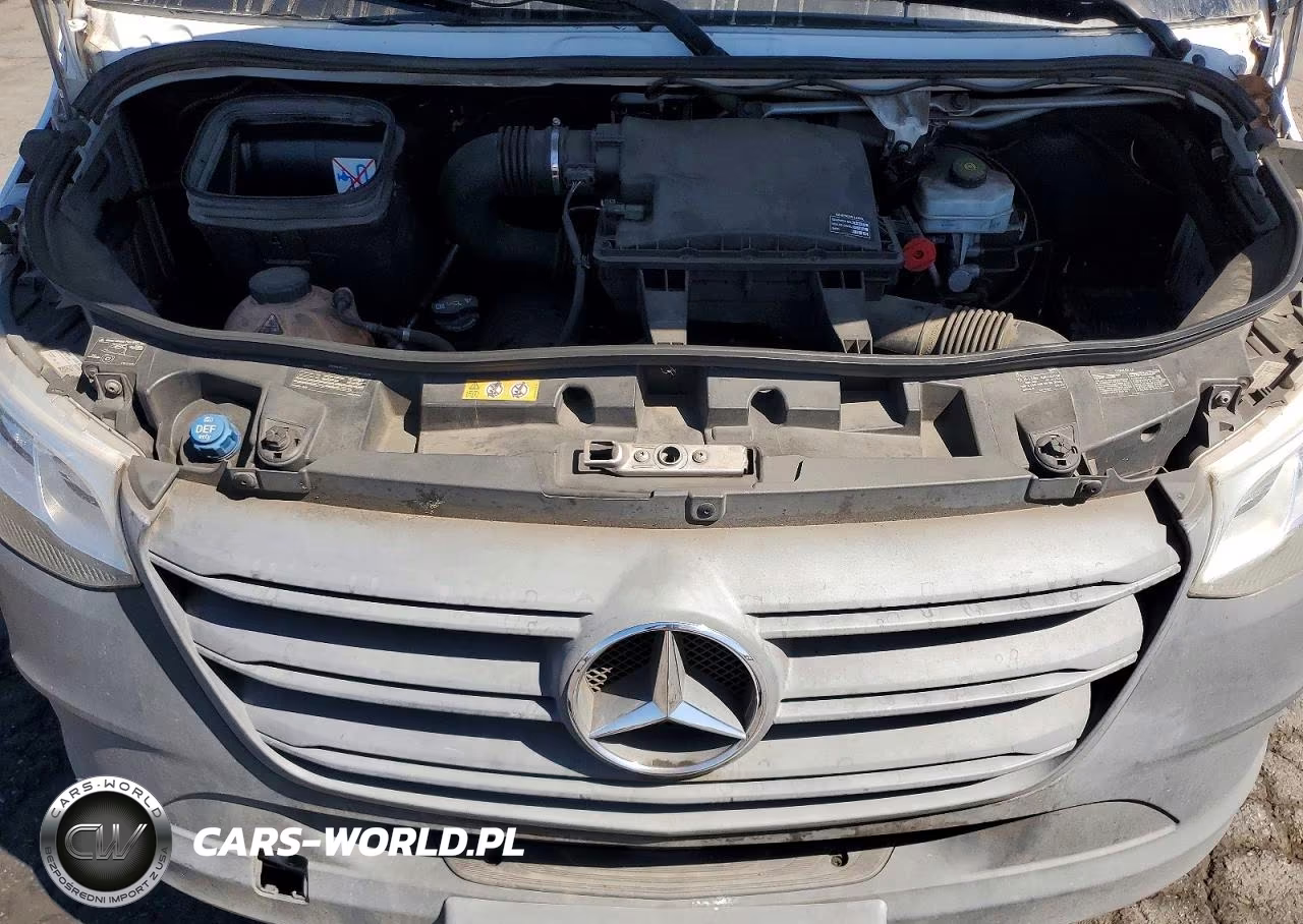 2019 Mercedes-Benz Sprinter 2500-3500 Delivery Van VIN:WD4PF0CD5KP027299 - 12