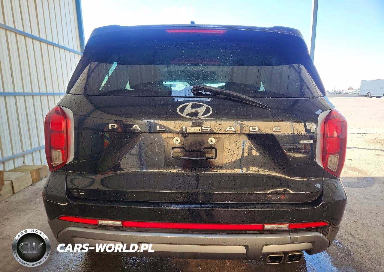 2025 Hyundai Palisade Sel VIN:KM8R2DGE8SU902963 - 6