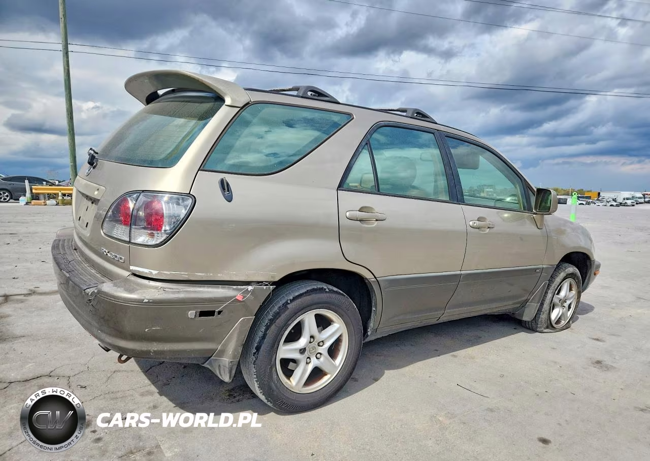 2001 Lexus Rx 300 VIN:JTJGF10U310104468 - 3
