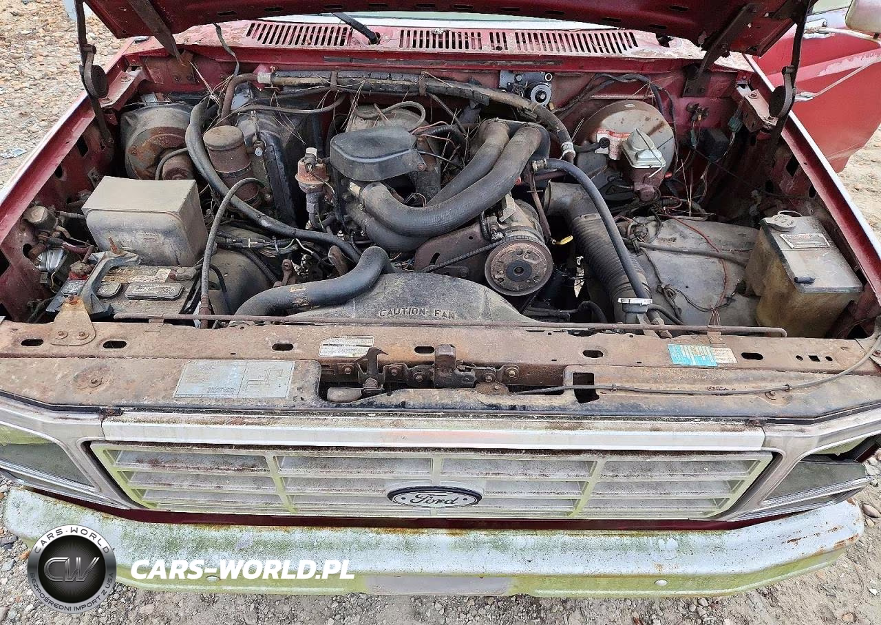 1985 Ford F150 VIN:1FTDF15N4FNA37848 - 11