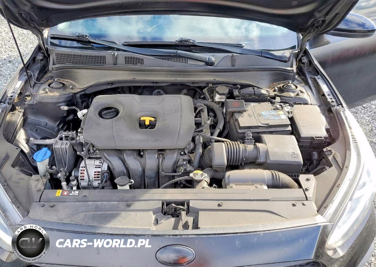 2019 Kia Forte Fe VIN:3KPF24AD1KE005313 - 11