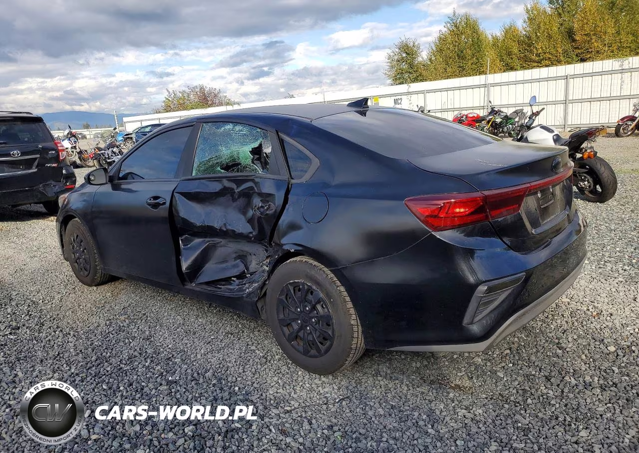 2019 Kia Forte Fe VIN:3KPF24AD1KE005313 - 2