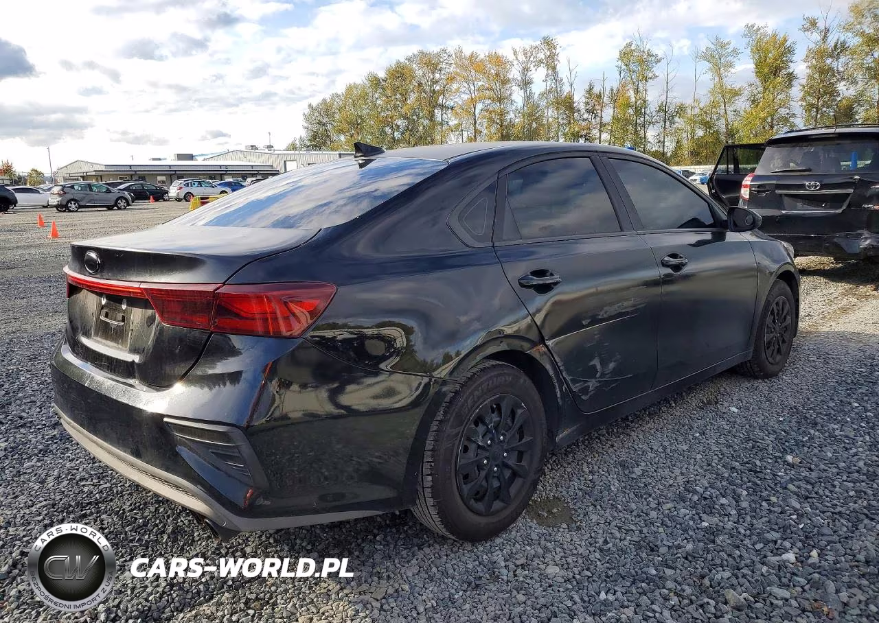 2019 Kia Forte Fe VIN:3KPF24AD1KE005313 - 3