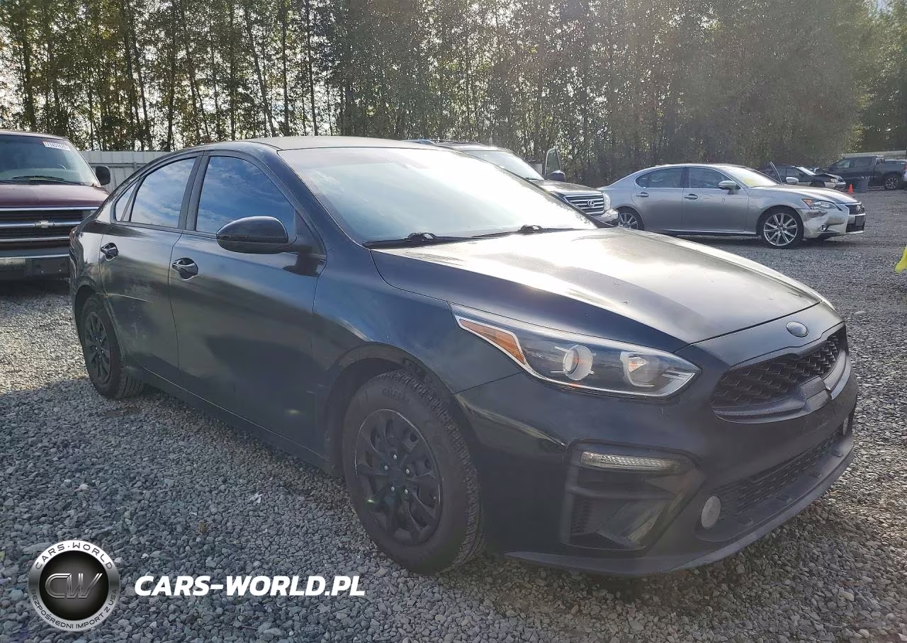 2019 Kia Forte Fe VIN:3KPF24AD1KE005313 - 4