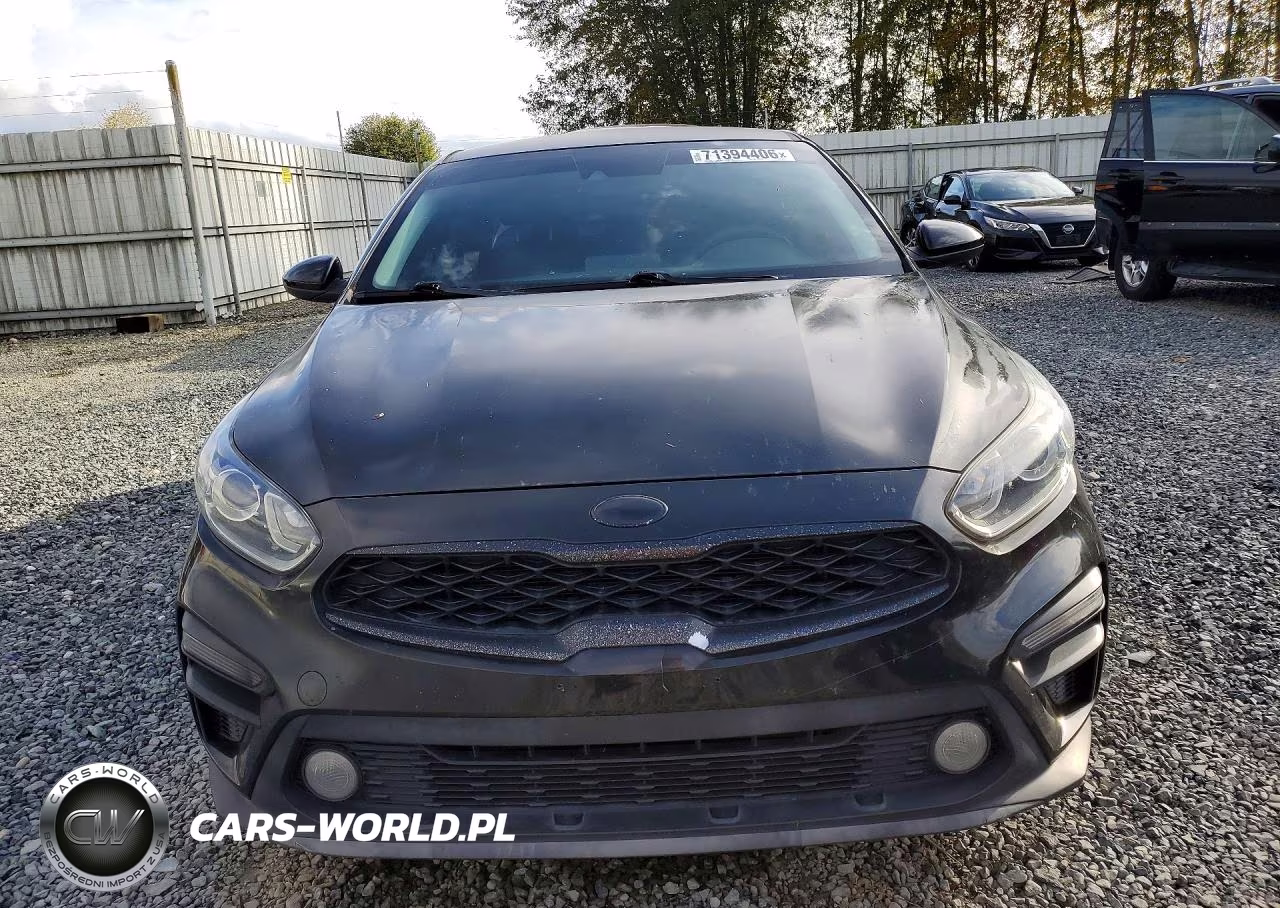 2019 Kia Forte Fe VIN:3KPF24AD1KE005313 - 5