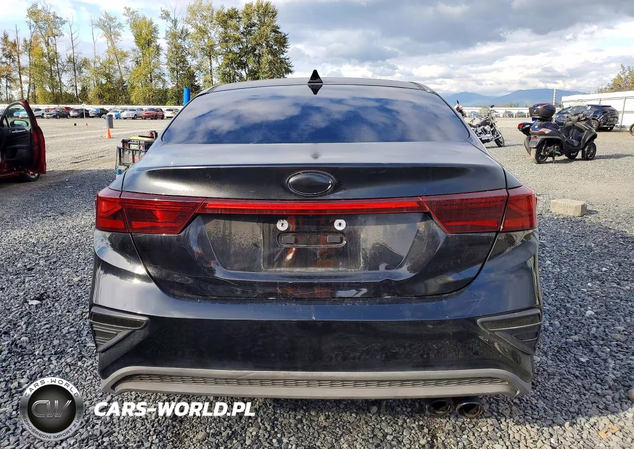 2019 Kia Forte Fe VIN:3KPF24AD1KE005313 - 6