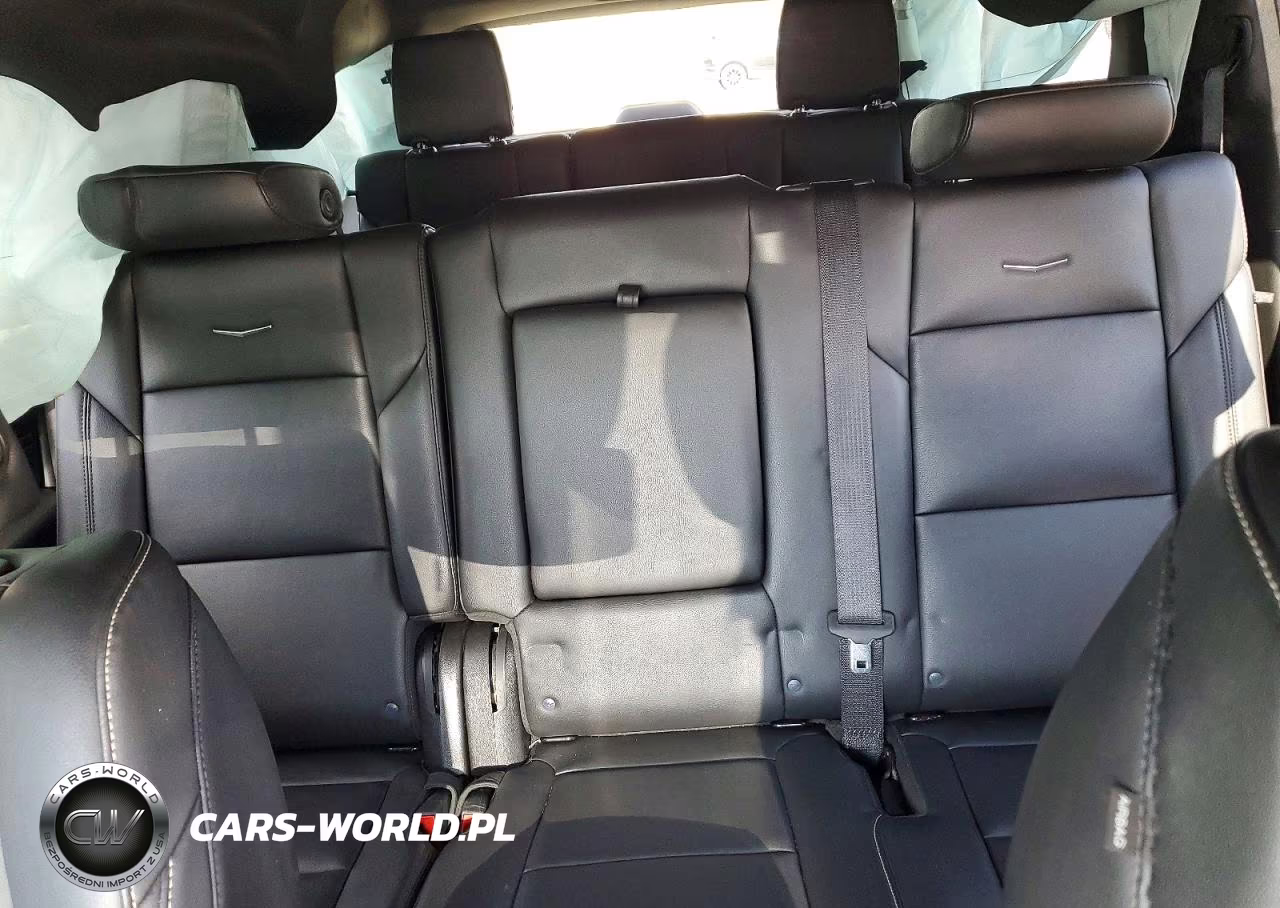 2024 Cadillac Escalade Esv Luxury VIN:1GYS4JKL3RR150844 - 10