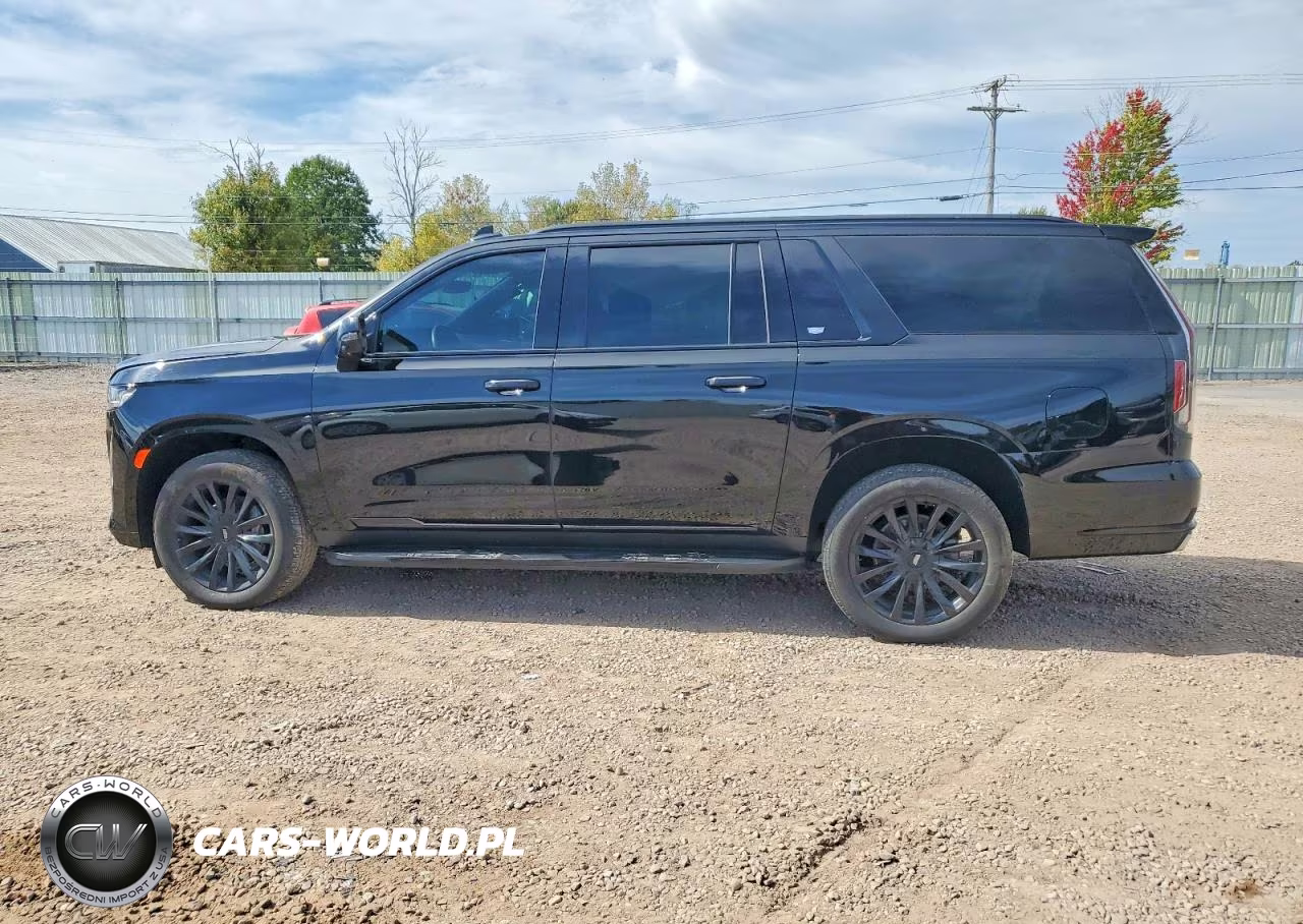 2024 Cadillac Escalade Esv Luxury VIN:1GYS4JKL3RR150844 - 13