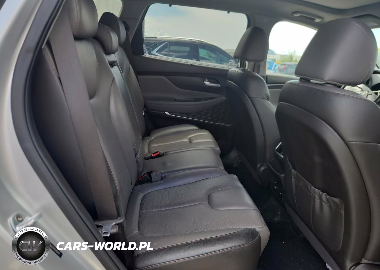 2019 Hyundai Santa Fe Limited VIN:5NMS53AA2KH046144 - 11