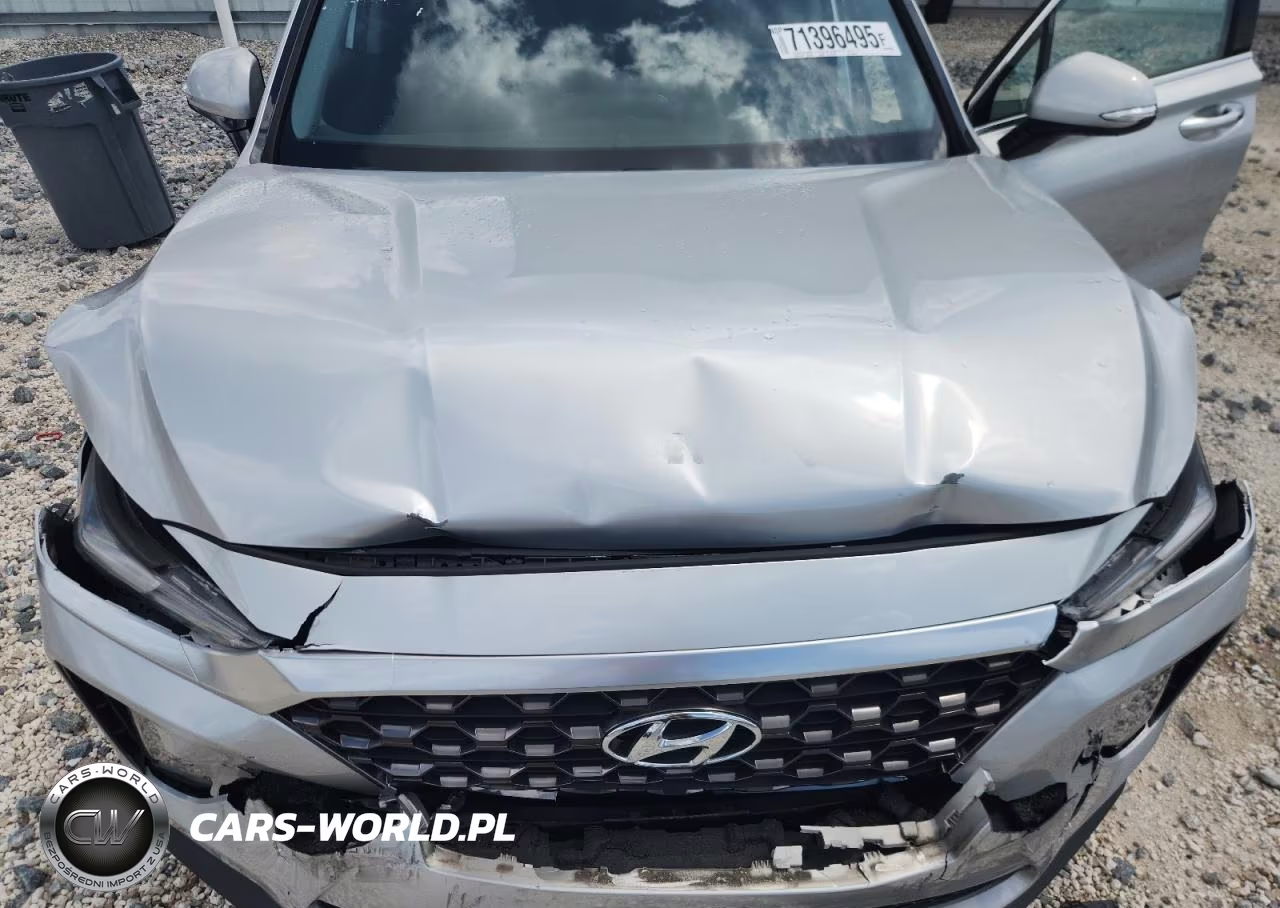 2019 Hyundai Santa Fe Limited VIN:5NMS53AA2KH046144 - 12
