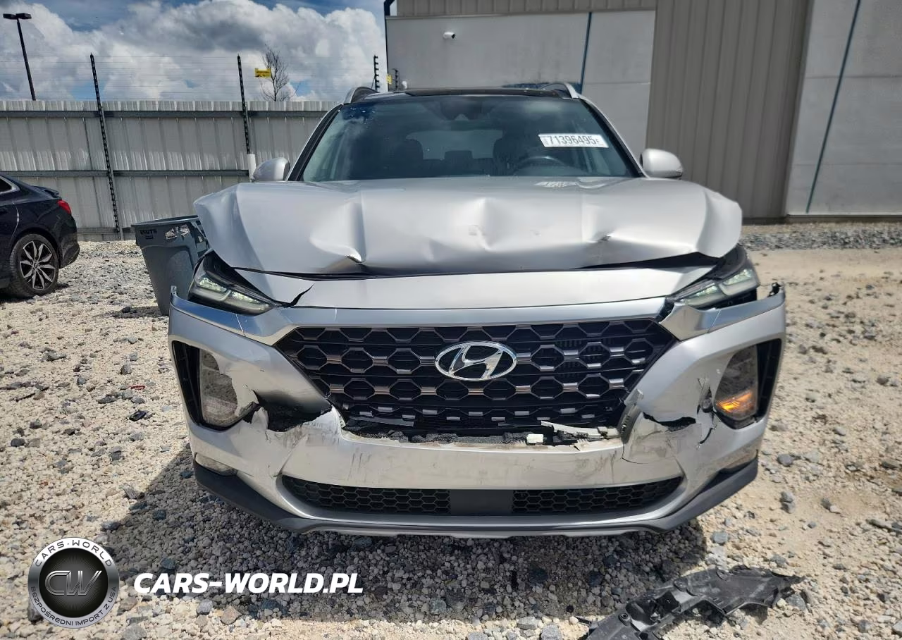 2019 Hyundai Santa Fe Limited VIN:5NMS53AA2KH046144 - 5