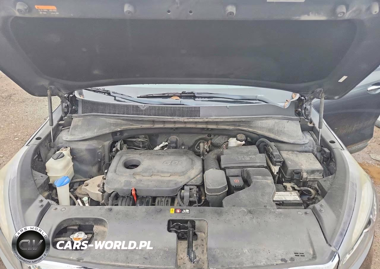 2017 Kia Sorento Lx VIN:5XYPG4A34HG192796 - 12