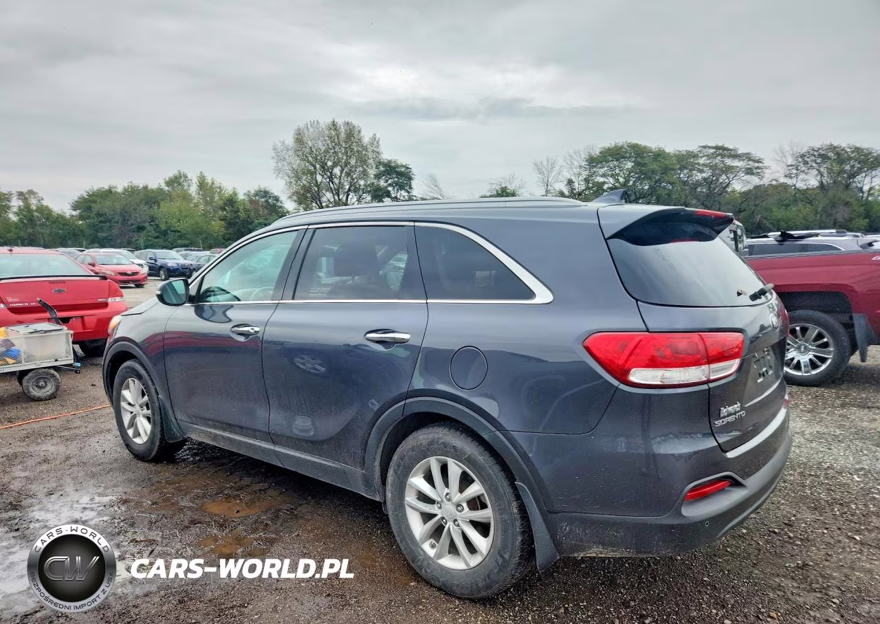 2017 Kia Sorento Lx VIN:5XYPG4A34HG192796 - 2